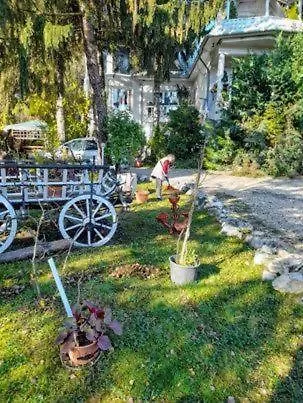 Gazde/Camere de închiriat Feher Hinto *