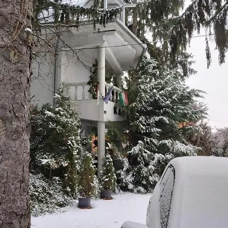 Feher Hinto Gazde/Camere de închiriat