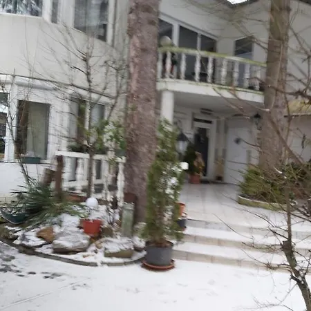 Feher Hinto Gazde/Camere de închiriat *