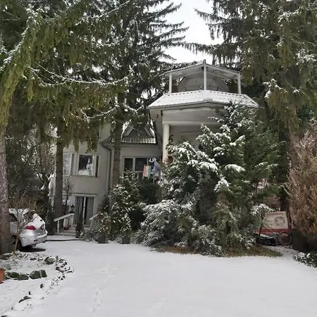 Pansiyon Feher Hinto *